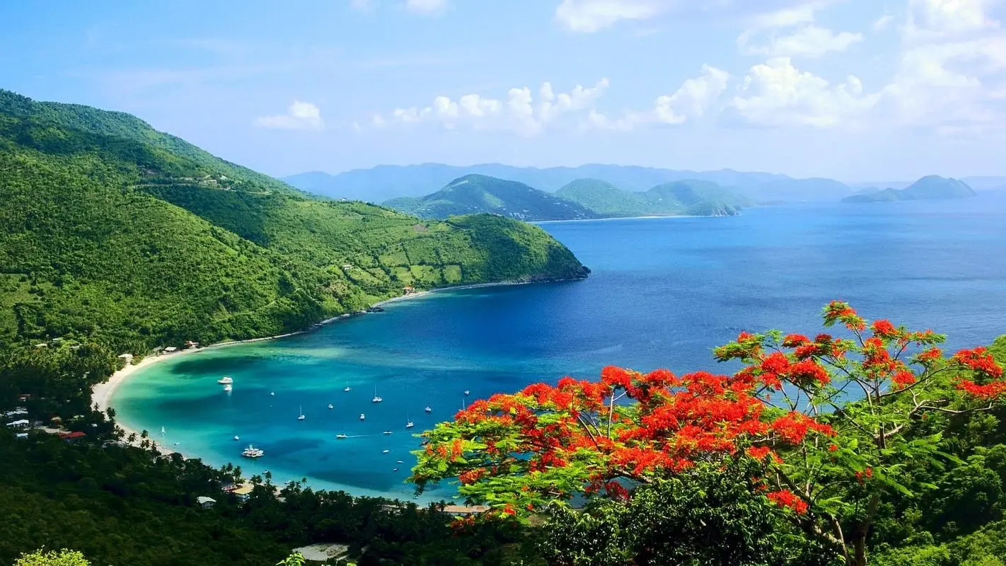 信息化信息化